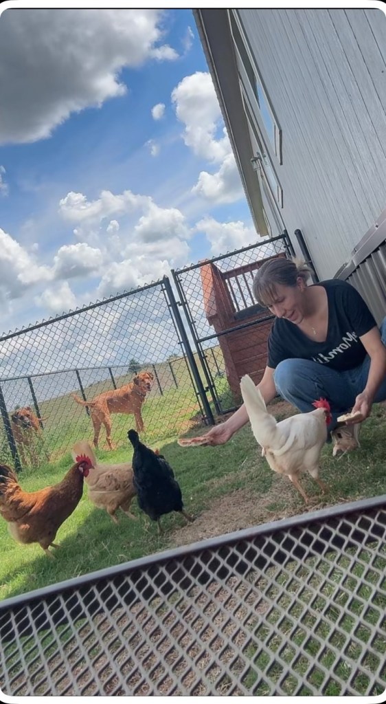 Rachel crouched on the grass beside her metal building, hand-feeding her flock — a white hen, a black hen, and a brown rooster — while her two dogs, a Rhodesian Ridgeback and a Lab mix, watch from behind a chain-link fence under a big blue Oklahoma sky.